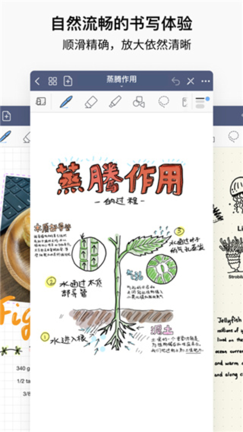 马云又一次预言成真？如果不出意外，2025年房地产将发生重大转变
